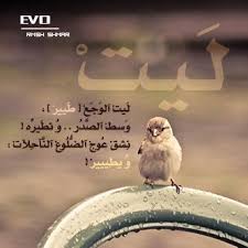ليت الوجع طير Rain Photography Conceptual Photo Rain Forrest
