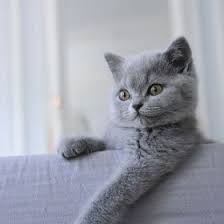 Check spelling or type a new query. Teresa Hillard Hillard3133 Profile Pinterest