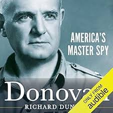 The Last Hero Audiobook by Peter Bostrom