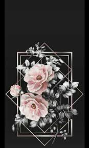 Download iphone black wallpapers hd, beautiful and cool high quality background images collection for your device. Cute Black Wallpaper 605593481126320710 Iphone X Wallpapers Hd
