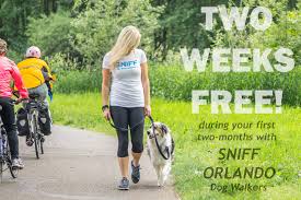 A guide to help you determine how much to charge for dog walking, dog sitting, cat sitting, and overnight pet care. Dog Walking Dog Sitting Rates Sniff Orlando Dog Walkers