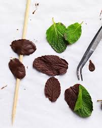 Chocolate Mint Leaves Recipe Recipe Mint Chocolate Cake Decorating Dessert Decoration