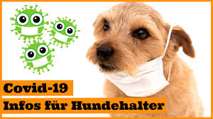 Ich bitte um ihre mitarbeit. Coronavirus Fakten I Wichtige Infos Zur Corona Pandemie Fur Hundehalter