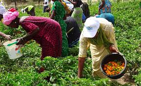 It was founded in 1906 and has approximately $0.21 billion in assets. Senegal 60 Million From The African Development Bank To Support The Community Development Emergency Program Kapital Afrik