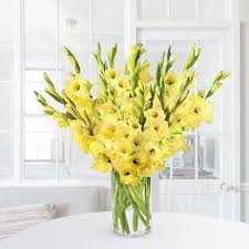 Do not break your head thinking whether it would suit the occasion or not, flowers are known as any occasion gift and are considered the best choice for any function. How To Send Flowers To Canada From India