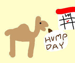 Hump day camel images to celebrate. It S Wednesday My Dudes Aaaa Drawception