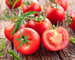 B.t products, such as dipel (dust) and thuricide (liquid concentrate), are effective in the control of hornworms and tomato fruitworms. Solving Tomato Problems Yates Gardening
