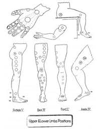 List Of Cupping Therapy Chart Trigger Points Images And