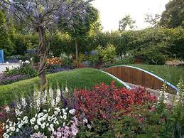 Fiori Perenni Per Avere Un Balcone O Un Giardino Fiorito Tutto L Anno I Fiori Delizia Di Colori E Profumi Per I No Giardino Progettazione Di Giardini Fiori