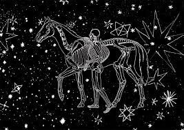 Os cavalos | Marina Colasanti