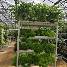 Features Of Nft Hydroponic Growing Systems Hydroponic Growing Hydroponics Nft Hydroponics