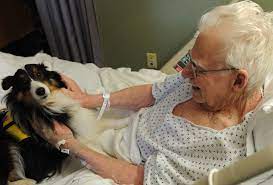 Her mentally ill son had been forced to live in horrible board and care homes in the county until he was well enough to move in with her, she said. Nursing Home Wikipedia
