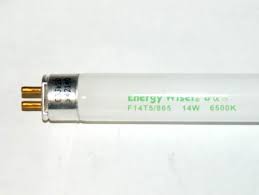 Two foot fluorescent chainable housing reflectors and fixtures have approximately 2000 lumens per bulb. Bulbrite 14w 22in T5 Daylight White Fluorescent Tube F14t5 865 Bulbs Com