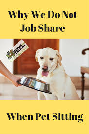 Why We Do Not Job Share When Pet Sitting Pet Sitting Dogs Pets
