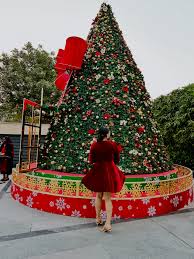🎄✨ The magic of Christmas truly came alive at HQ27 ✨🎄 From the heart-warming Tree Lighting Ceremony to soulful Christmas carols, creative workshops, and joyful moments shared with the little ones from
