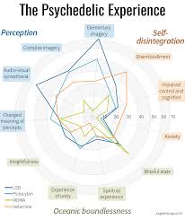 The Psychedelic Experience Sapiensoup Blog