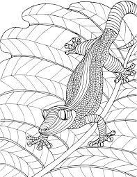 Download and print these lizards coloring pages for free. Pin On Animals Adult Colouring Zentangles
