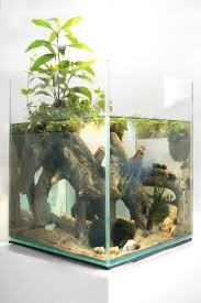 Aktuell Aquarien Deutschland Aquarien Aquarium Deutschland Aquarium Fische