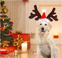 Christmas Deer Antlers Pet Hair Band Santa Hat Fur Ball Elastic Headband
