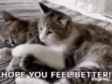 Hope you feel better soon. Hope You Feel Better Gifs Tenor
