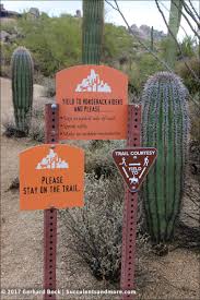 The top 10 competitors in north scottsdale nursery & cactus' competitive set are moonvalleynurseries, summerwinds nursery, cellarpass, desertfoothillsgardens, australian outback plants, becick's perennial farm, ticketbiscuit, crowdtorch, tickets.com, live nation entertainment. Pinnacle Peak Park Scottsdale Az