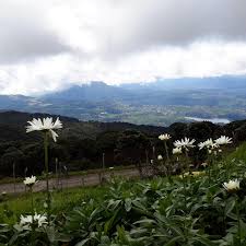 Ellara Prithi – ಎಲ್ಲಾರ ಪ್ರೀತಿ