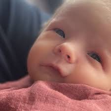 Ashley Polk's Instagram, Twitter & Facebook