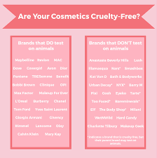 The drugstore makeup brands are simply accessible online as well as your nearby shops and stores. The True Cost Of Cosmetics The Great Projects