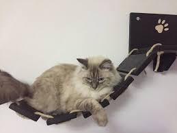 Black Bridge Jute Rope Furniture For Cats Cat Furniture Cats Paw Painting