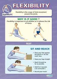 Flexibility Physical Education School Posters Health And Physical Education Physical Education Lessons Physical Education Teacher