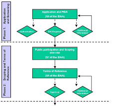 Image result for Jatropha botswanica