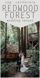 Top Redwood Forest Wedding Venues In California Forest Wedding Venue Redwood Forest Wedding Northern California Wedding Venues