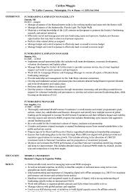 fundraising manager resume samples