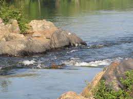 Neyyar dam which was established in the year 1958 is located in thiruvananthapuram district. Bavali River Wikipedia