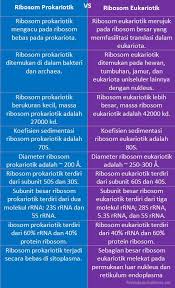 Secara anatomis, sel bervariasi sehubungan dengan klasifikasinya, oleh karena itu, sel prokariotik dan sel eukariotik berbeda satu sama lain secara drastis. Perbedaan Ribosom Prokariotik Dan Eukariotik Perbedaan