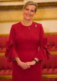 20 janvier 1965) est membre de la famille royale britannique. 210 Best Sophie Rhys Jones Ideas In 2021 PÄlÄrie PÄlÄrierul Nebun PrinÈesa Diana
