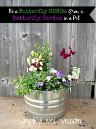 Grow A Butterfly Garden In A Pot Simplify Live Love Butterfly Garden Butterfly Habitat Butterfly Plants