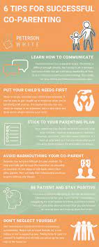 The truth is, once you take that bundle of joy home, things start getting real, and you may begin to wonder if th. 6 Tips For Successful Co Parenting Infographic