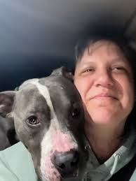 Foster dog needs a new family