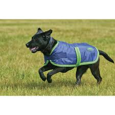 Weatherbeeta 420 D Dog Coat