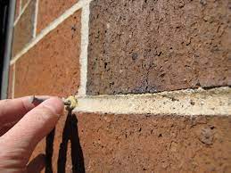 Use brick clips to hang your garland on your brick wall. A Contractor S Secrets To Hanging Holiday Decor