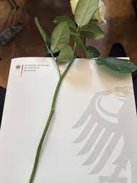 Hannah Penelope Klein