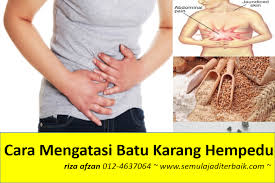 Bile mengandungi kolesterol, air, bilirubin dan hempedu garam. My Health Venture Cara Mengatasi Batu Karang Hempedu