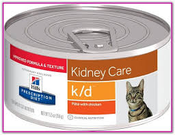 Alternative To K D Cat Food Pet Needs Hills Prescription Diet Canned Cat Food Best Cat Food