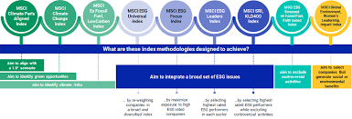Maybe you would like to learn more about one of these? Msci Esg Indexes Msci