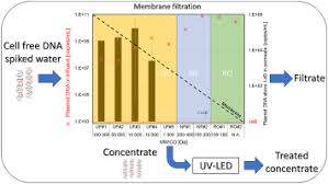 Find out by reading this article. Combined Membrane Filtration And 265 Nm Uv Irradiation For Effective Removal Of Cell Free Antibiotic Resistance Genes From Feed Water And Concentrate Sciencedirect