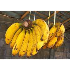 Pisang kepok kuning rasa buahnya lebih enak dibanding kepok putih sehingga lebih disukai dan harganya lebih mahal. Buah Pisang Raja Sereh 1 Sisir Enak Manis Fresh Segar Pasar Murah Jakarta Shopee Indonesia