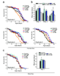 Spermidine surprise for a long life. Figure S2 Administration Of Spermidine Extends The Life Span Of Download Scientific Diagram