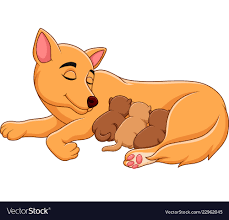 Mother Dog Breastfeeding Her Puppies Royalty Free Vector