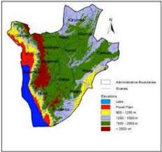 Image result for Agelanthus keilii